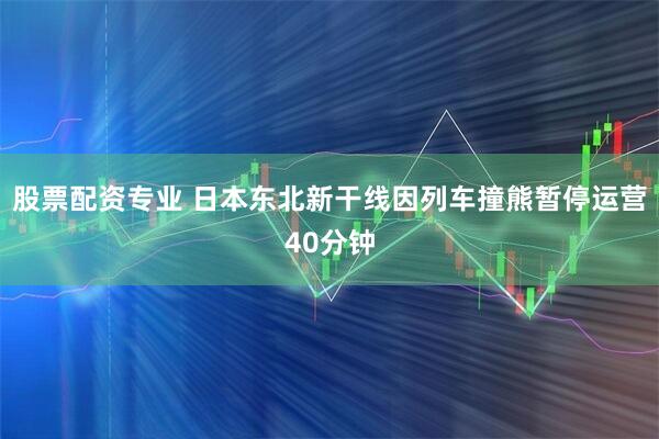 股票配资专业 日本东北新干线因列车撞熊暂停运营40分钟
