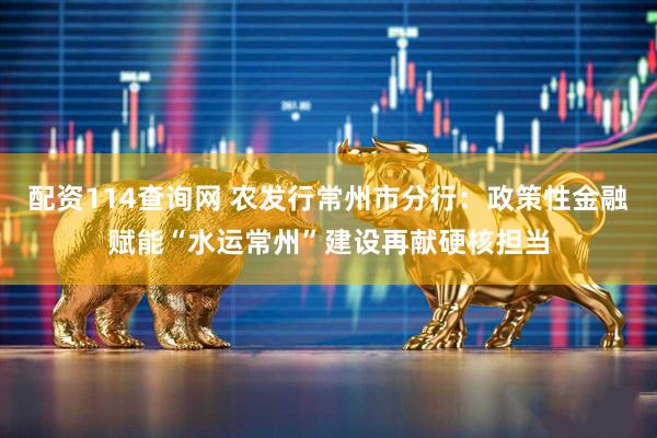 配资114查询网 农发行常州市分行：政策性金融赋能“水运常州”建设再献硬核担当