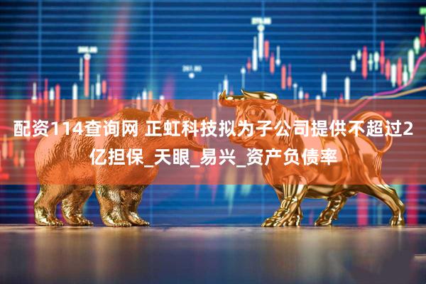 配资114查询网 正虹科技拟为子公司提供不超过2亿担保_天眼_易兴_资产负债率
