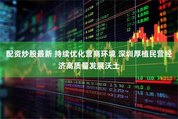 配资炒股最新 持续优化营商环境 深圳厚植民营经济高质量发展沃土